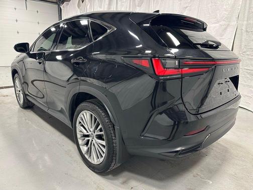 2024 Lexus NX 350h Luxury