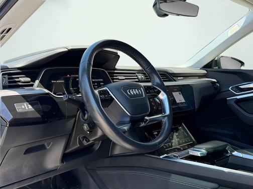 Florett Silver 2021 Audi e-tron Sportback Premium Plus