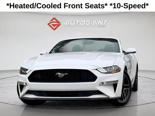 Oxford White 2019 Ford Mustang EcoBoost Premium