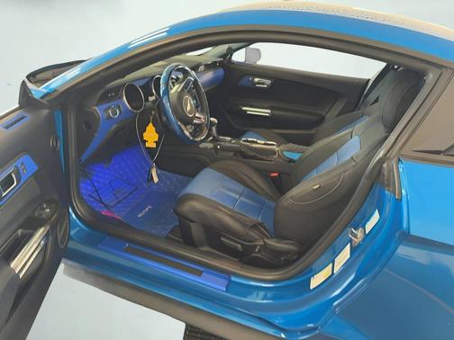 Blue Metallic 2019 Ford Mustang EcoBoost
