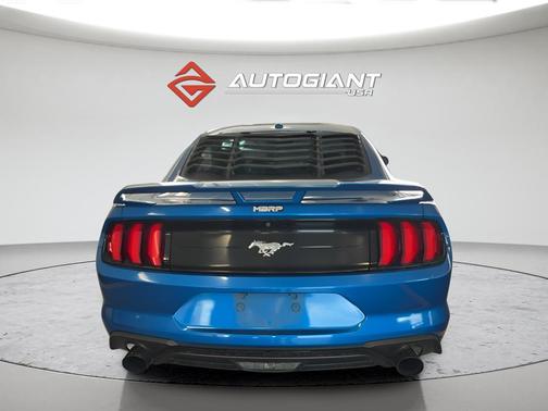 Blue Metallic 2019 Ford Mustang EcoBoost