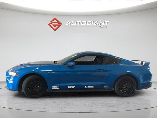 Blue Metallic 2019 Ford Mustang EcoBoost