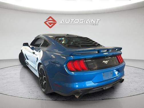 Blue Metallic 2019 Ford Mustang EcoBoost