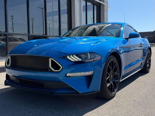 Blue Metallic 2019 Ford Mustang EcoBoost