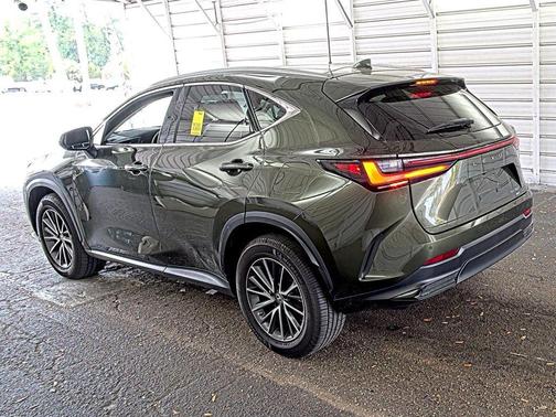 Nori Green Pearl 2022 Lexus NX 350 Premium