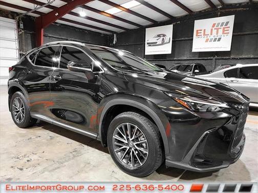 2025 Lexus NX 250 Premium