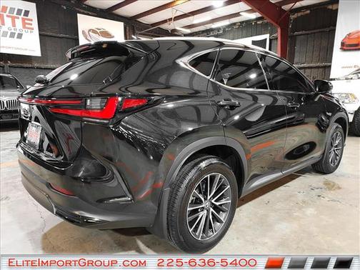2025 Lexus NX 250 Premium