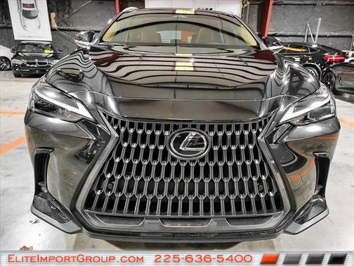 2025 Lexus NX 250 Premium