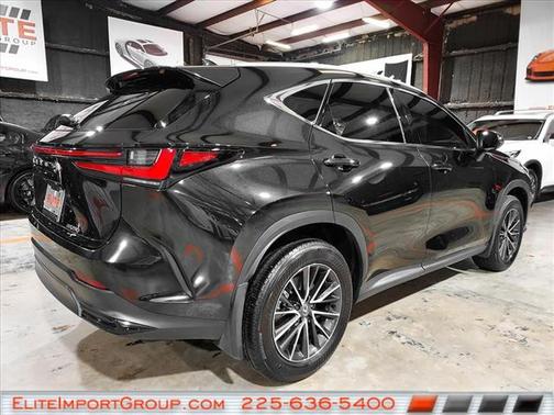 2025 Lexus NX 250 Premium