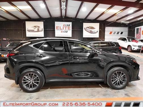 Caviar 2024 Lexus NX 250 Premium