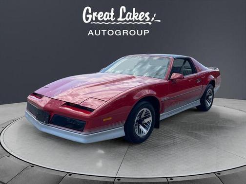 Gray 1984 Pontiac Firebird Trans Am