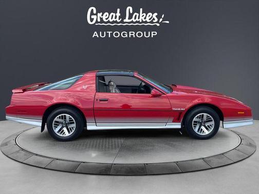 Gray 1984 Pontiac Firebird Trans Am