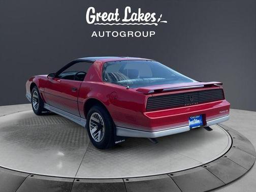 Gray 1984 Pontiac Firebird Trans Am