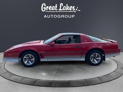 Gray 1984 Pontiac Firebird Trans Am