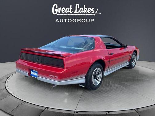 Gray 1984 Pontiac Firebird Trans Am