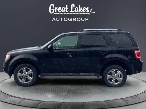 Black Clearcoat 2009 Ford Escape Limited