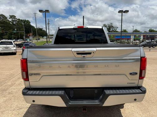 Ingot Silver Metallic 2019 Ford F-150 Platinum