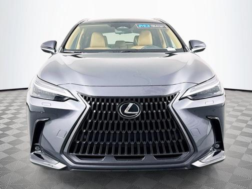 2023 Lexus NX 350h Luxury