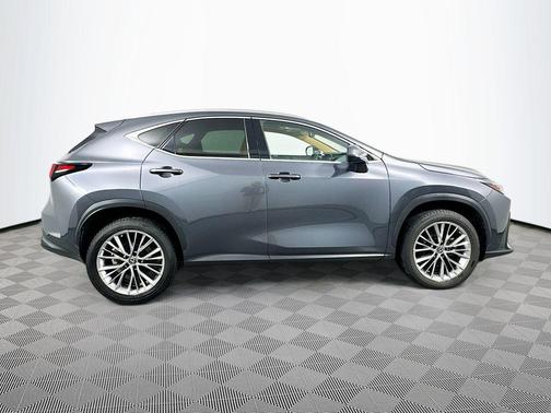 2023 Lexus NX 350h Luxury