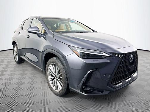 2023 Lexus NX 350h Luxury