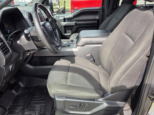 Magnetic 2019 Ford F-150 XLT