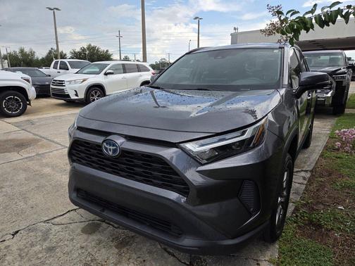 Magnetic Gray Metallic 2024 Toyota RAV4 Hybrid XLE