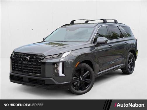 Steel Graphite 2025 Hyundai PALISADE XRT