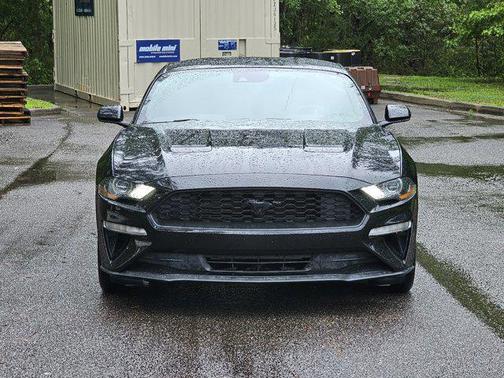 2022 Ford Mustang EcoBoost