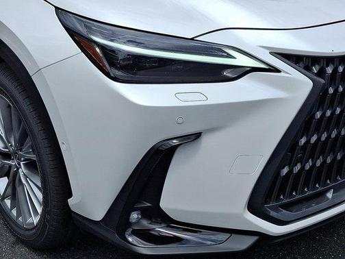 2025 Lexus NX 350 Luxury