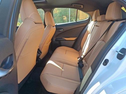 2025 Lexus UX 300h Premium