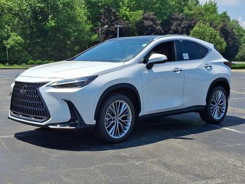 2025 Lexus NX 350 Luxury