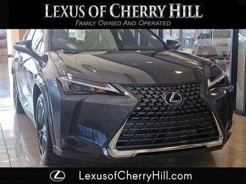 Cloudburst Gray - 01L1 2026 Lexus UX 300h Premium