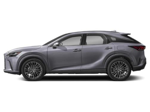 Nebula Gray Pearl 2023 Lexus RX 350 Luxury