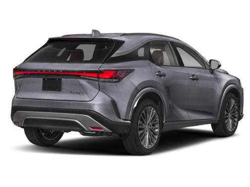 Nebula Gray Pearl 2023 Lexus RX 350 Luxury