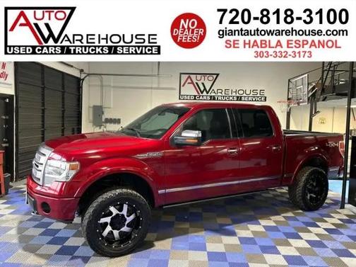 2013 Ford F-150 Platinum