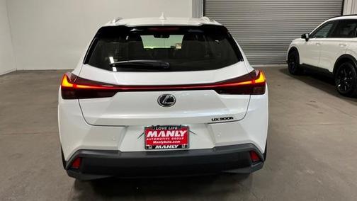 2025 Lexus UX 300h 300H