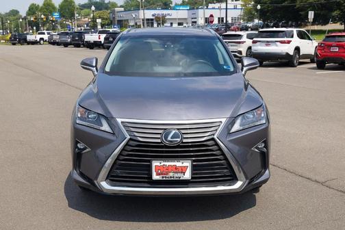 Nebula Gray Pearl 2019 Lexus RX 350 350