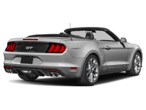 Ingot Silver Metallic 2019 Ford Mustang GT Premium