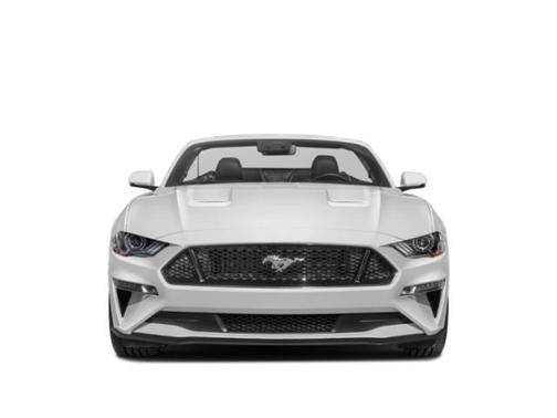 Ingot Silver Metallic 2019 Ford Mustang GT Premium