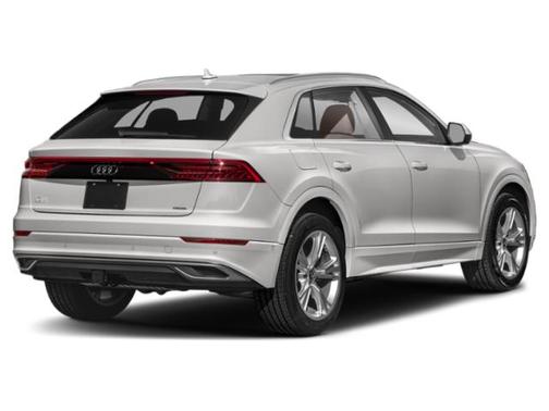 Florett Silver Metallic 2022 Audi Q8 55 Premium Plus