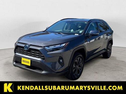 Magnetic Gray Metallic 2024 Toyota RAV4 Hybrid XLE Premium