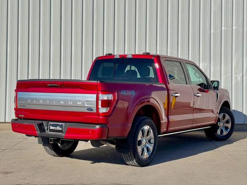 2021 Ford F-150 Platinum