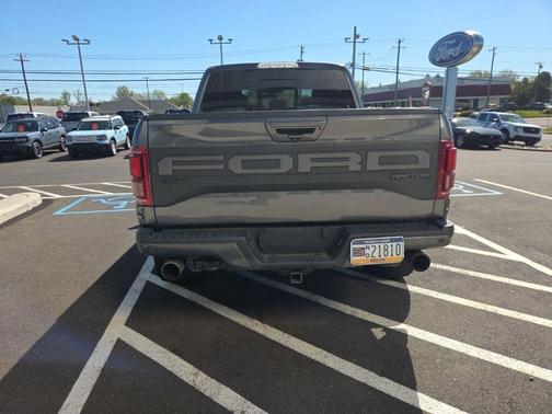 Magnetic 2019 Ford F-150 Raptor