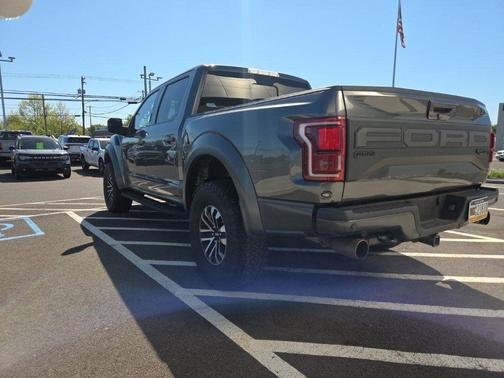 Magnetic 2019 Ford F-150 Raptor
