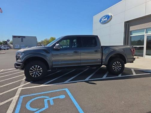 Magnetic 2019 Ford F-150 Raptor