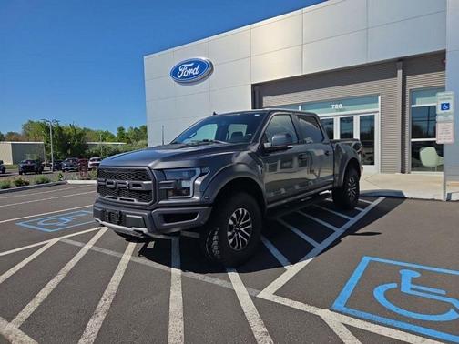 Magnetic 2019 Ford F-150 Raptor