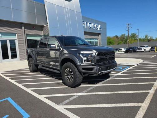 Magnetic 2019 Ford F-150 Raptor