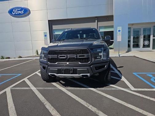 Magnetic 2019 Ford F-150 Raptor