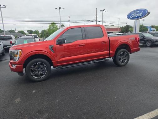 Chili Pepper Red 2023 Ford F-150 XLT