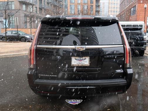 2019 Cadillac Escalade ESV Platinum